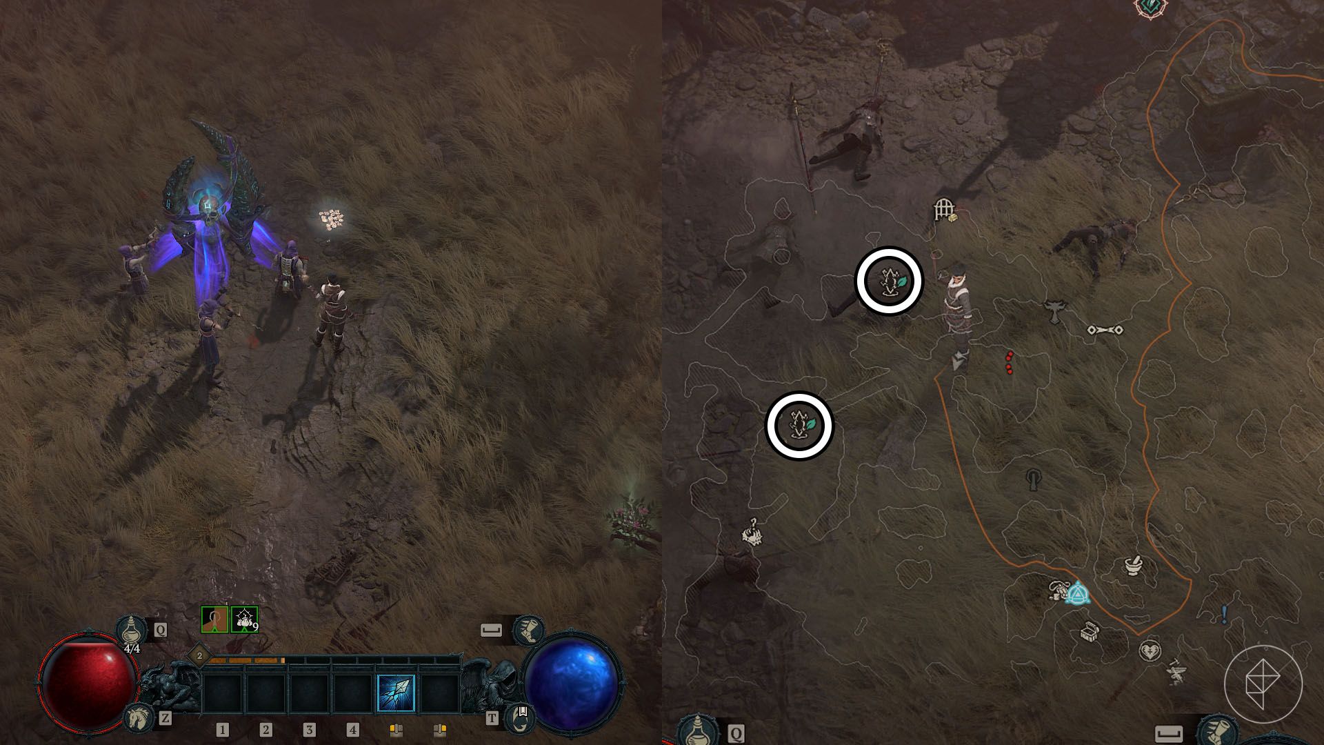 guide image