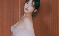 guide image
