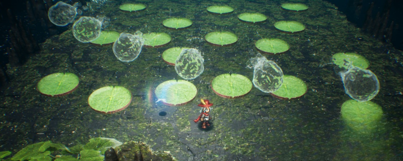 guide image