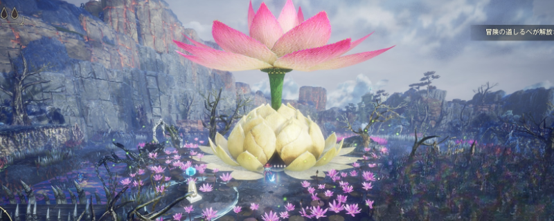 guide image