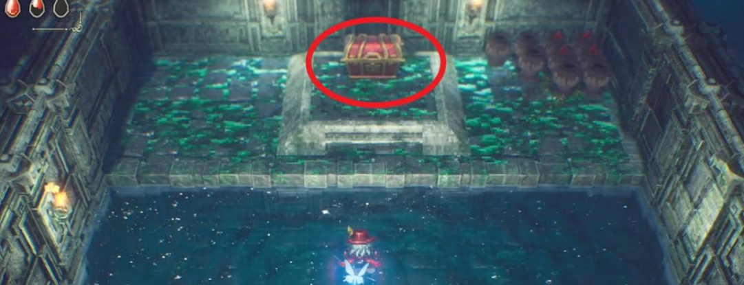 guide image