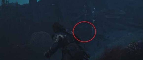 guide image