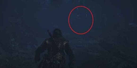 guide image
