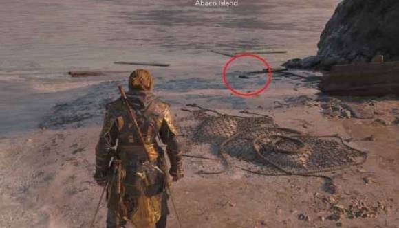 guide image