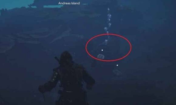 guide image