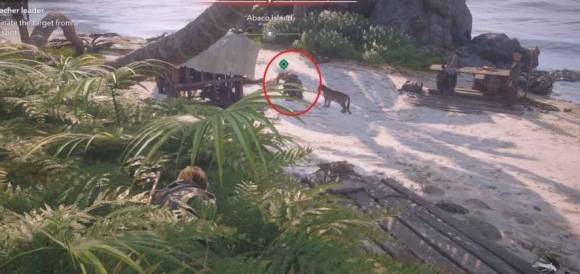 guide image
