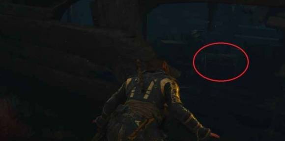 guide image