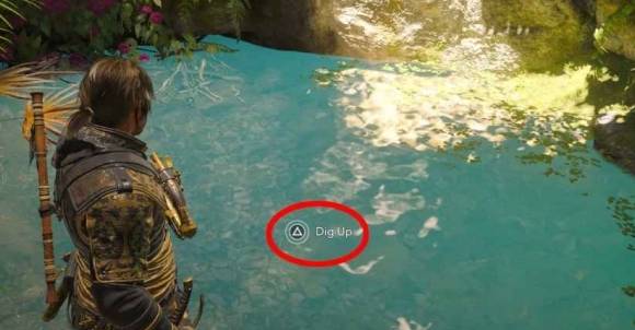 guide image
