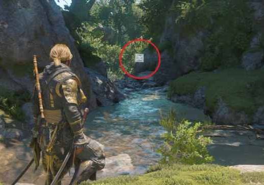 guide image