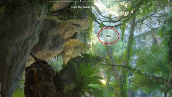 guide image