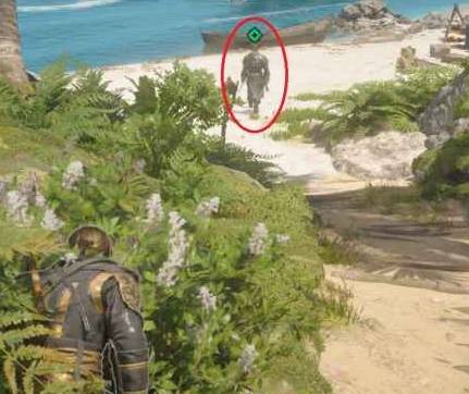 guide image