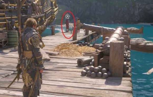guide image