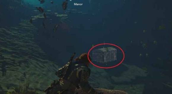 guide image