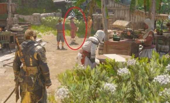 guide image