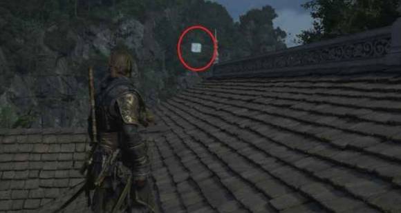 guide image