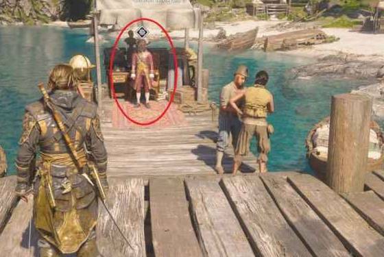 guide image