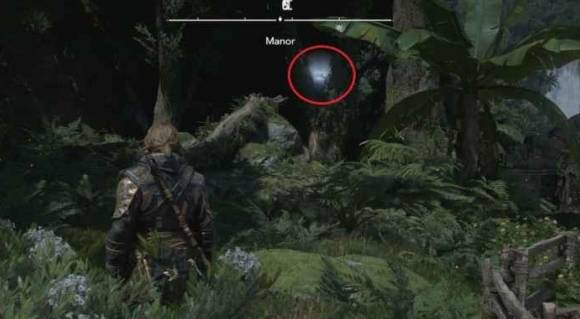 guide image