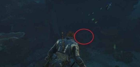guide image