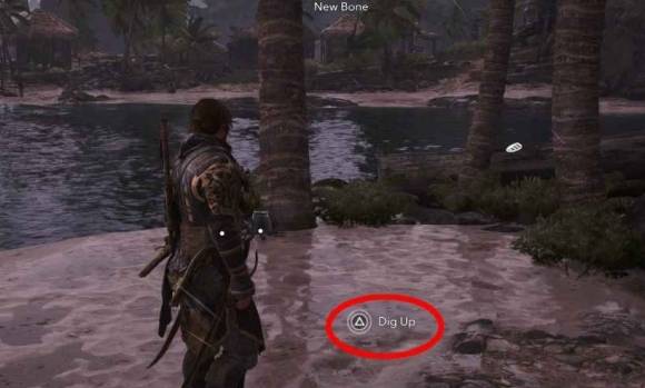 guide image