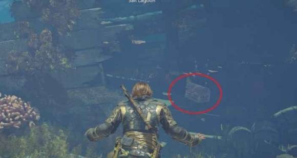 guide image