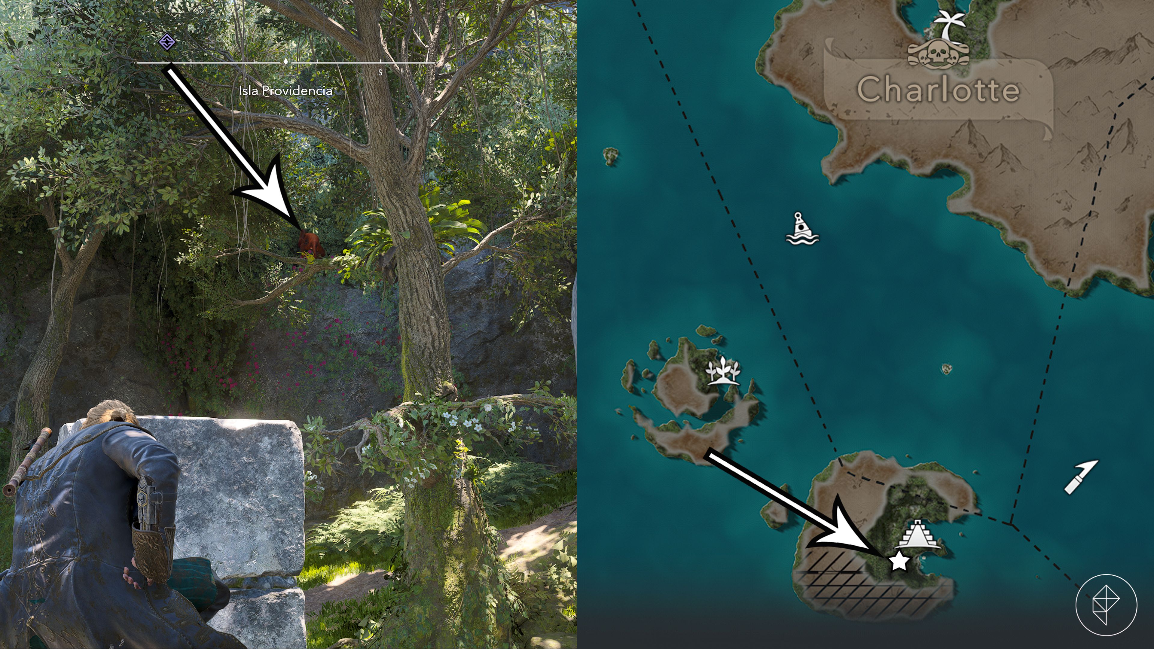 guide image