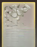 guide image