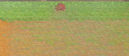 guide image