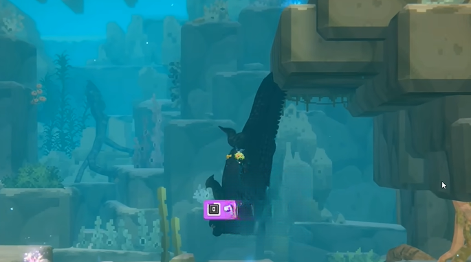guide image