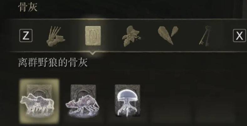 guide image