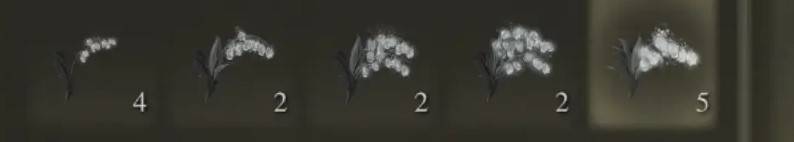 guide image
