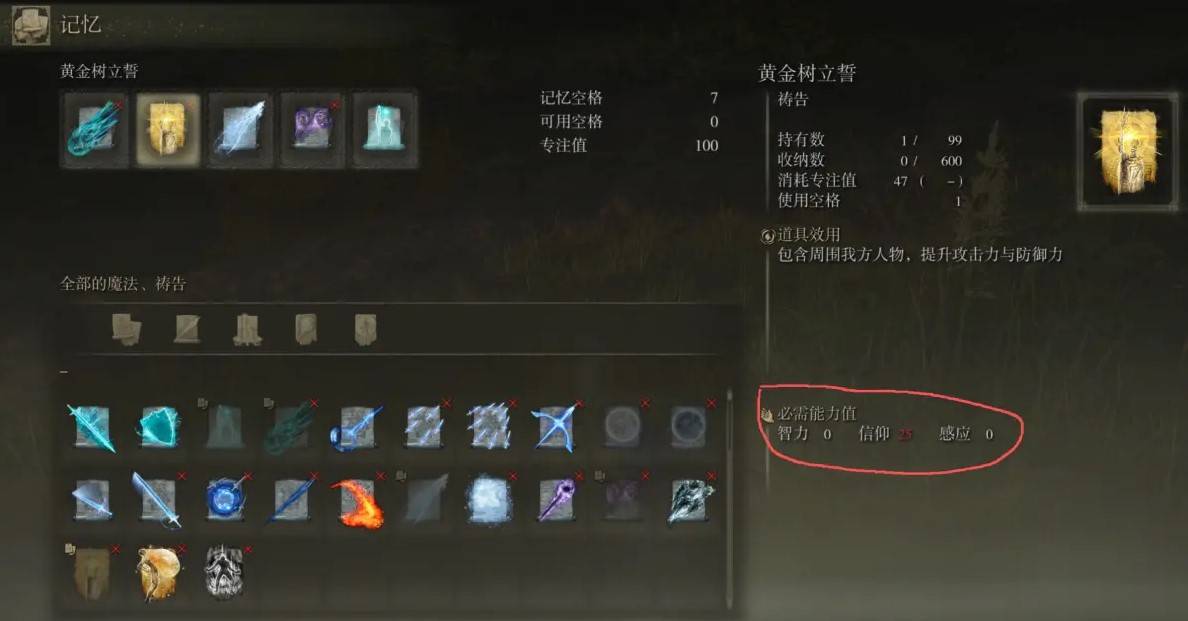 guide image