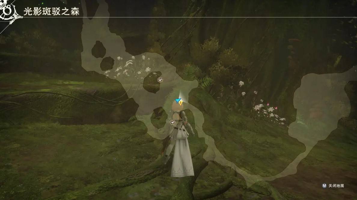guide image