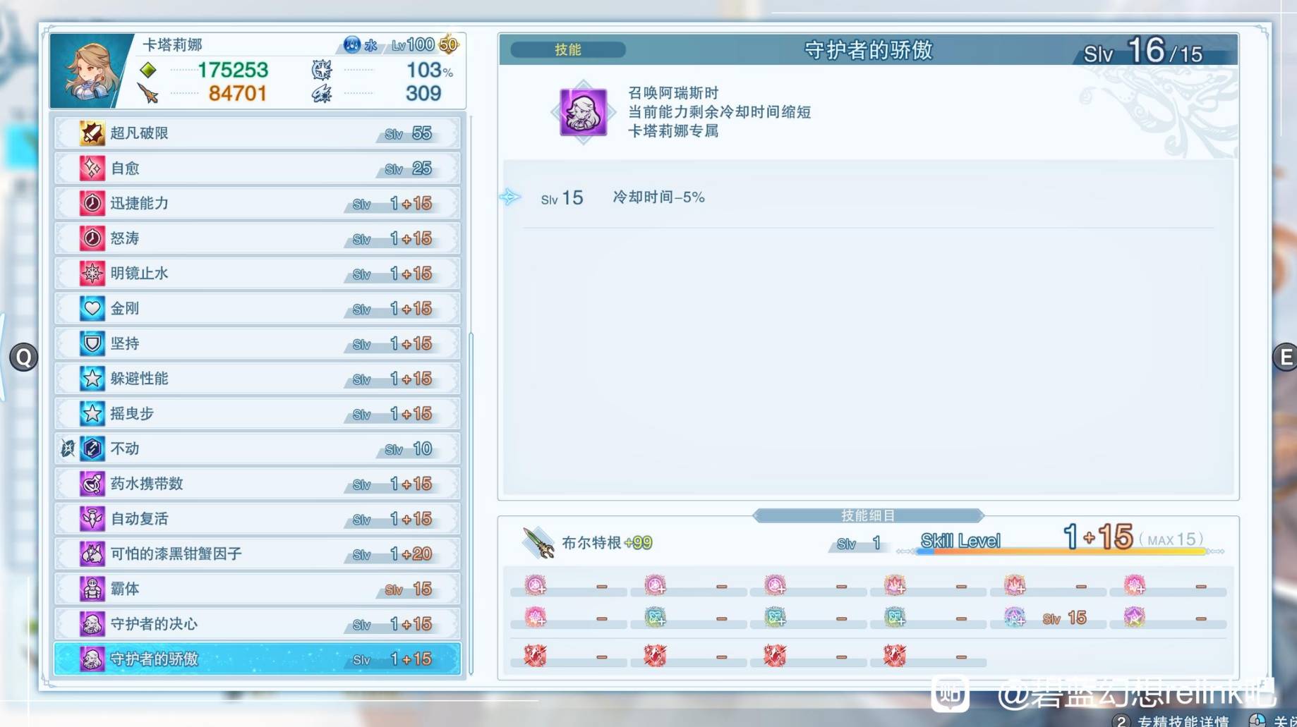 guide image