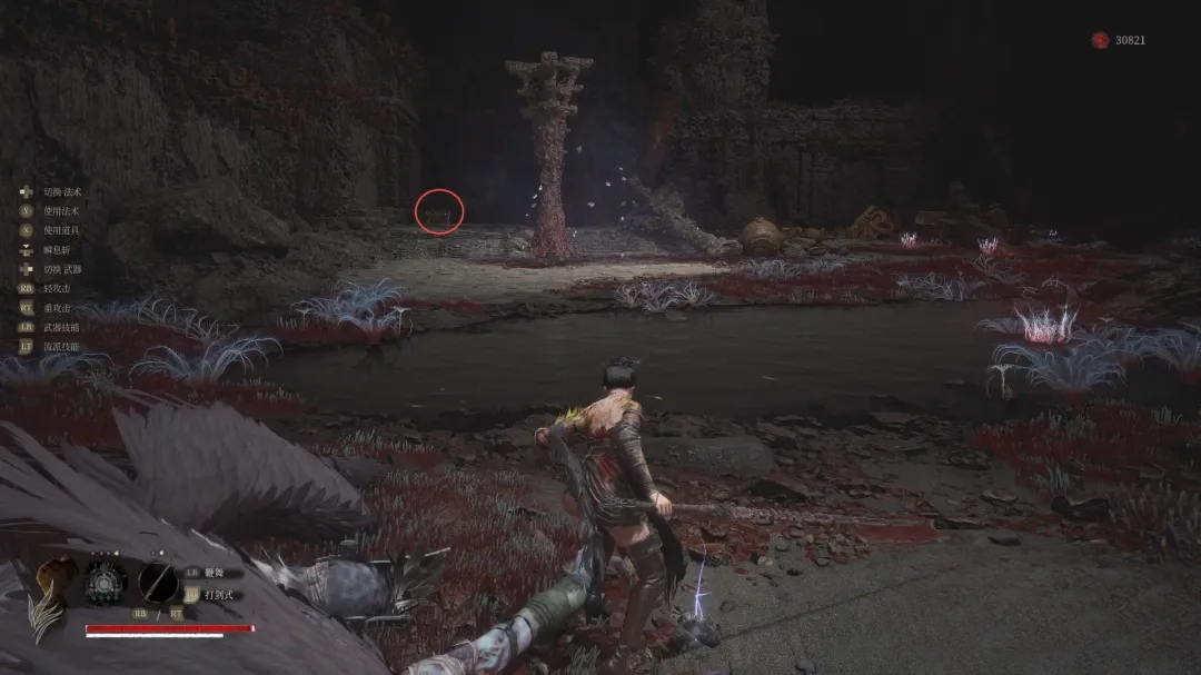guide image