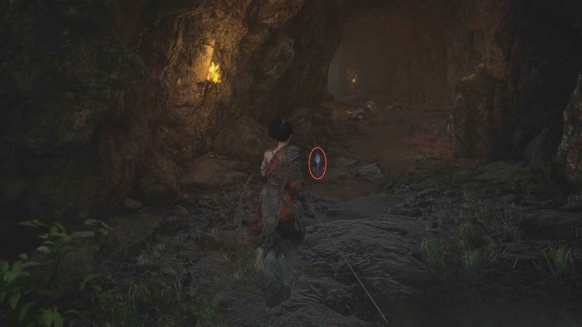 guide image