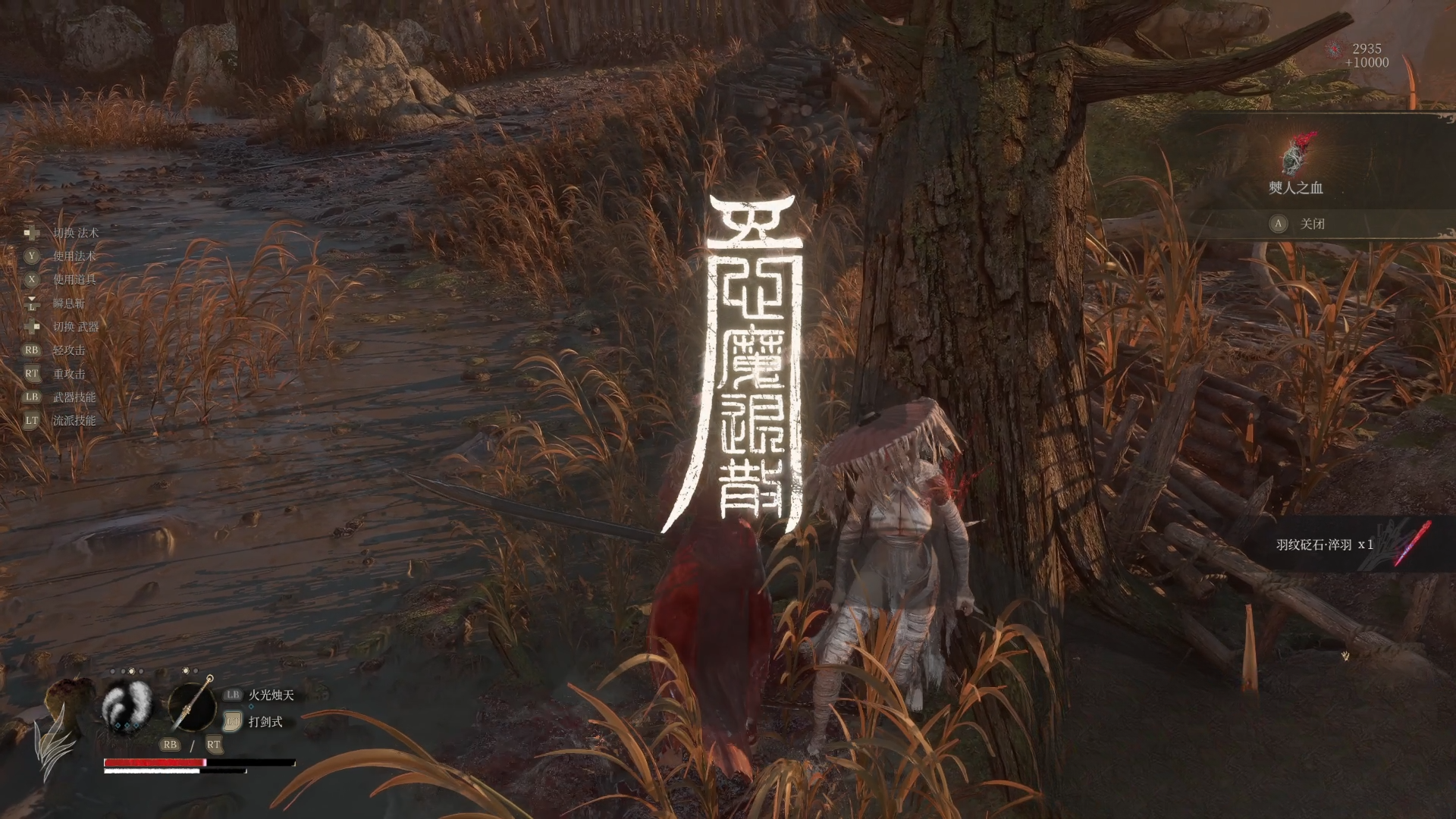 guide image