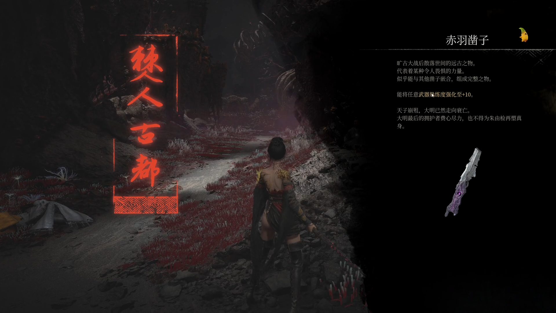 guide image