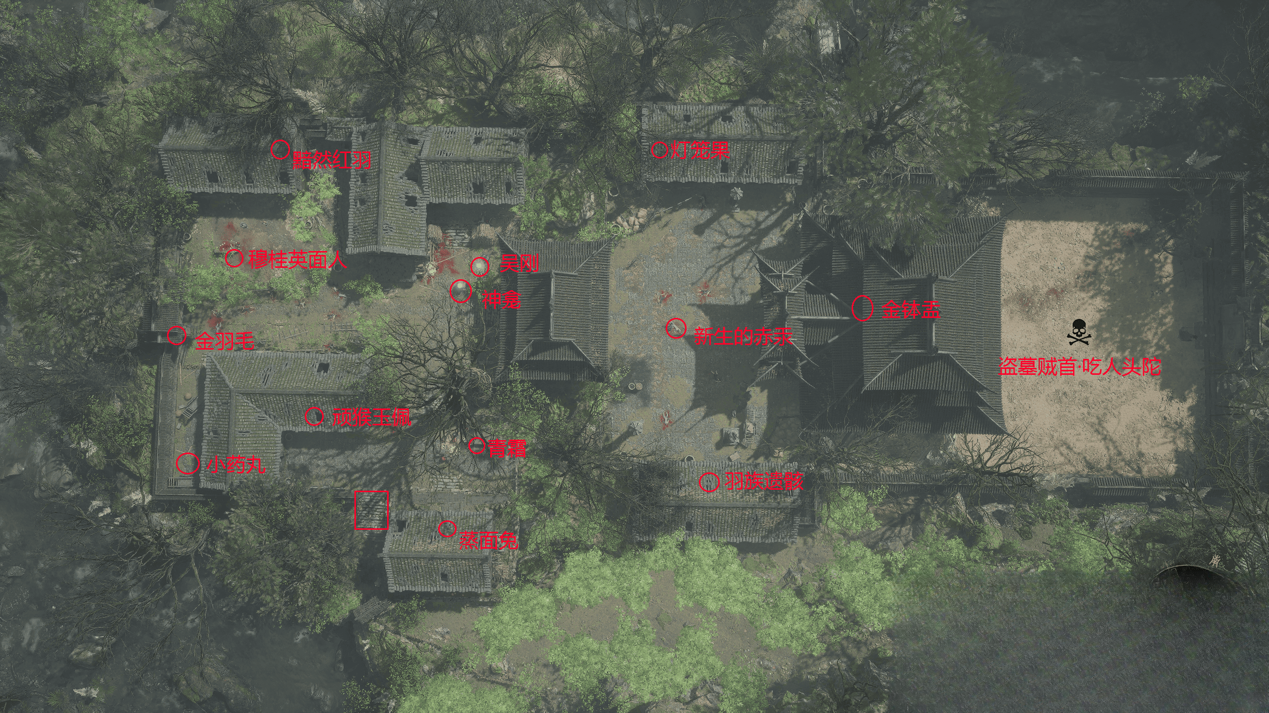 guide image