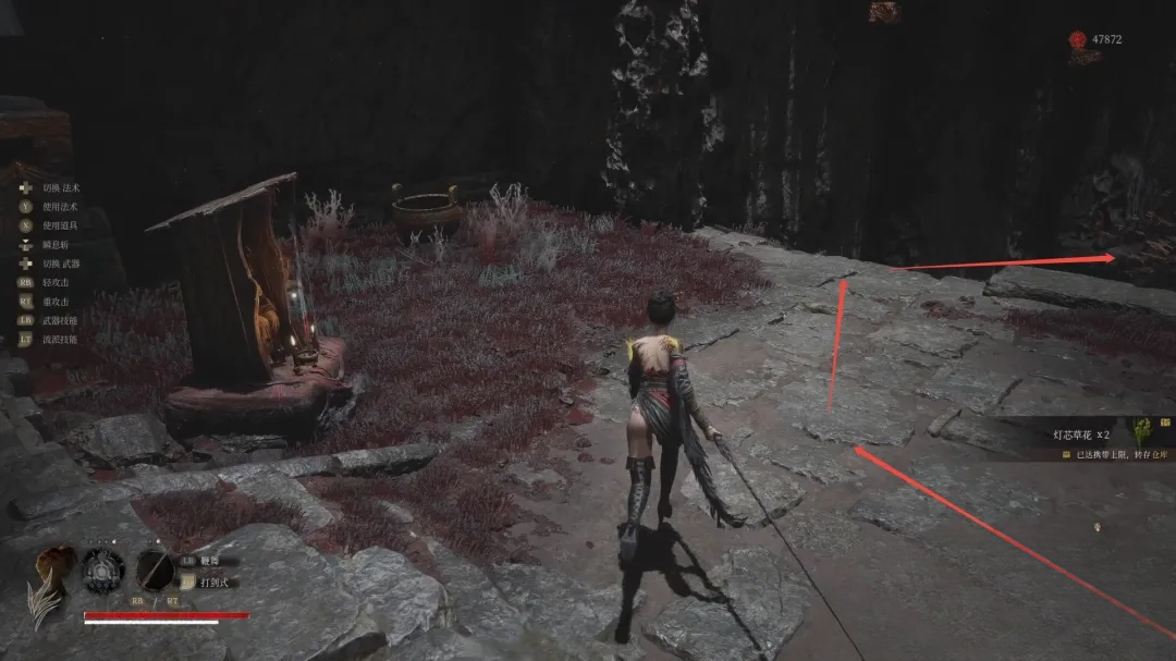 guide image