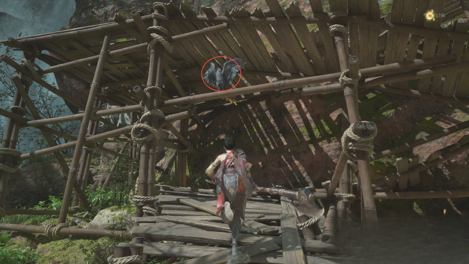 guide image