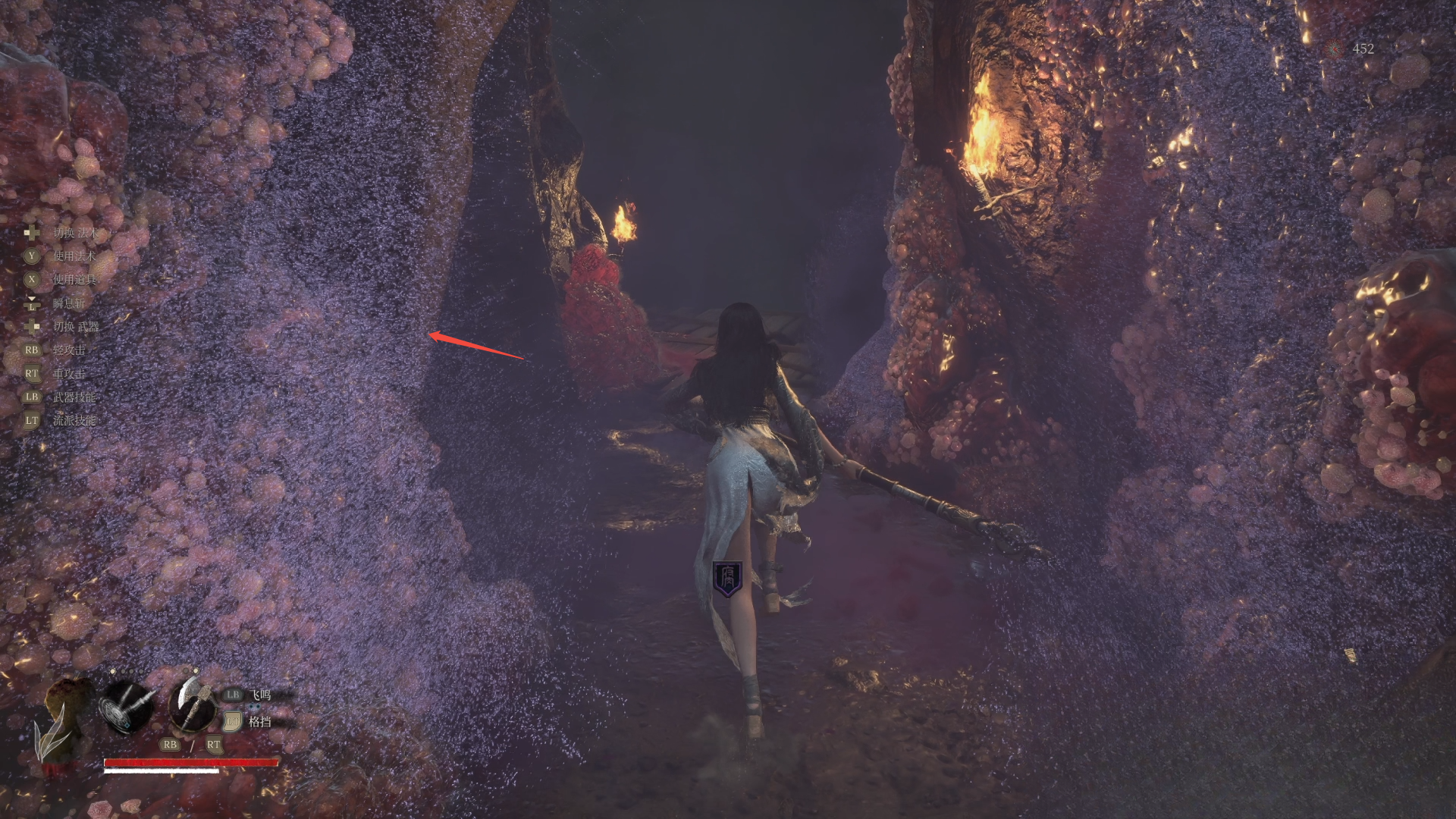 guide image