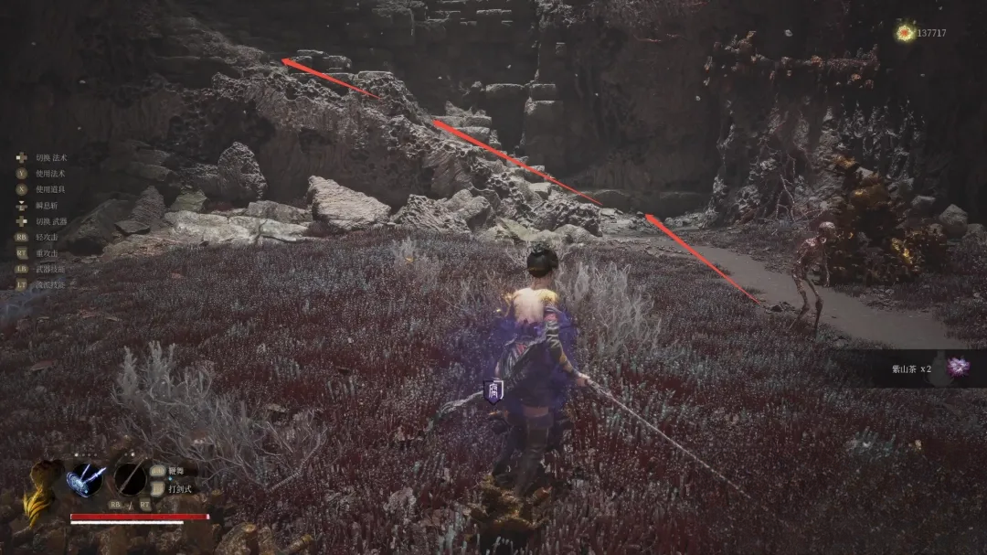 guide image