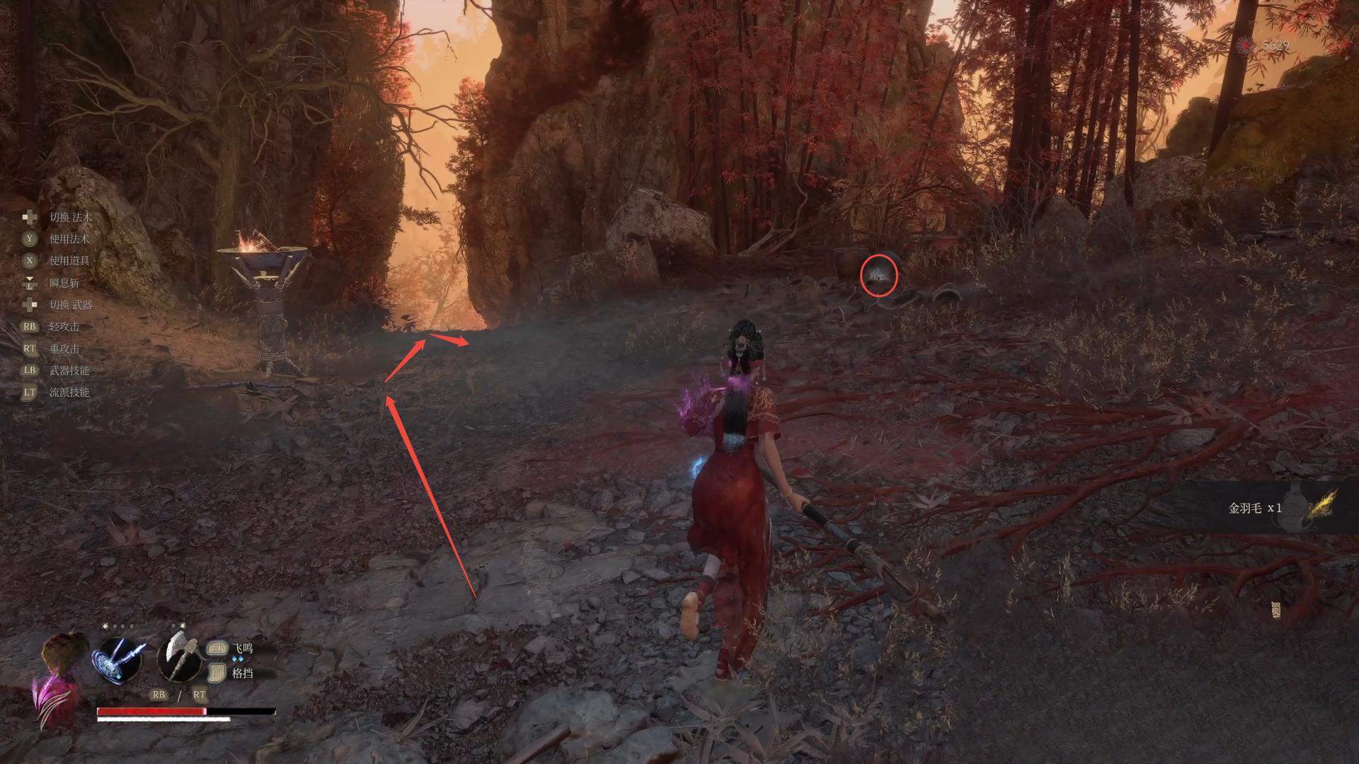 guide image