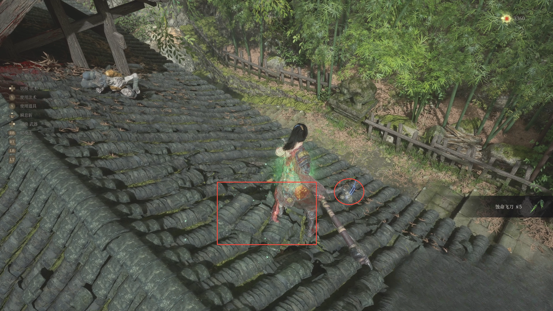 guide image