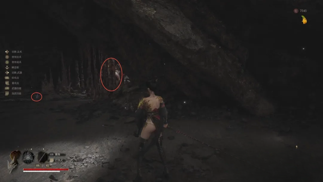 guide image