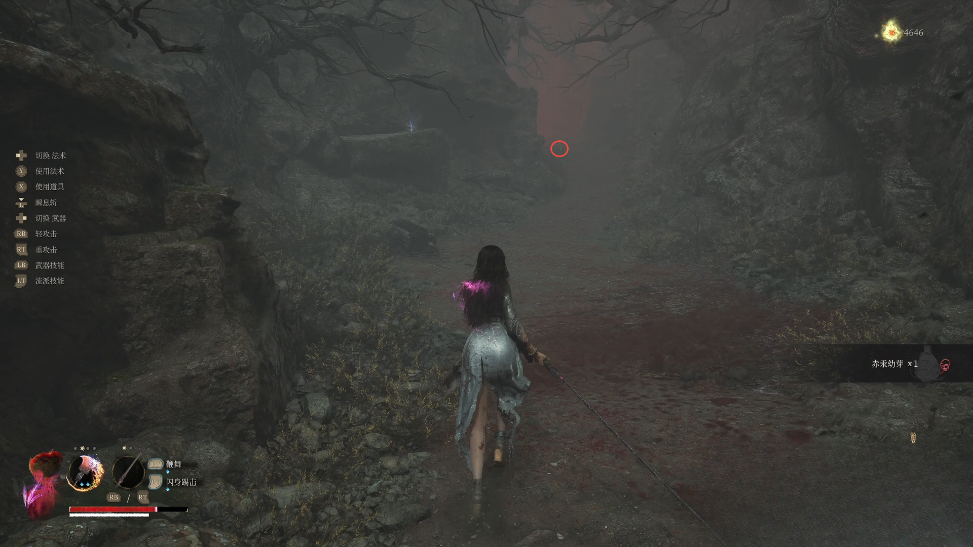 guide image
