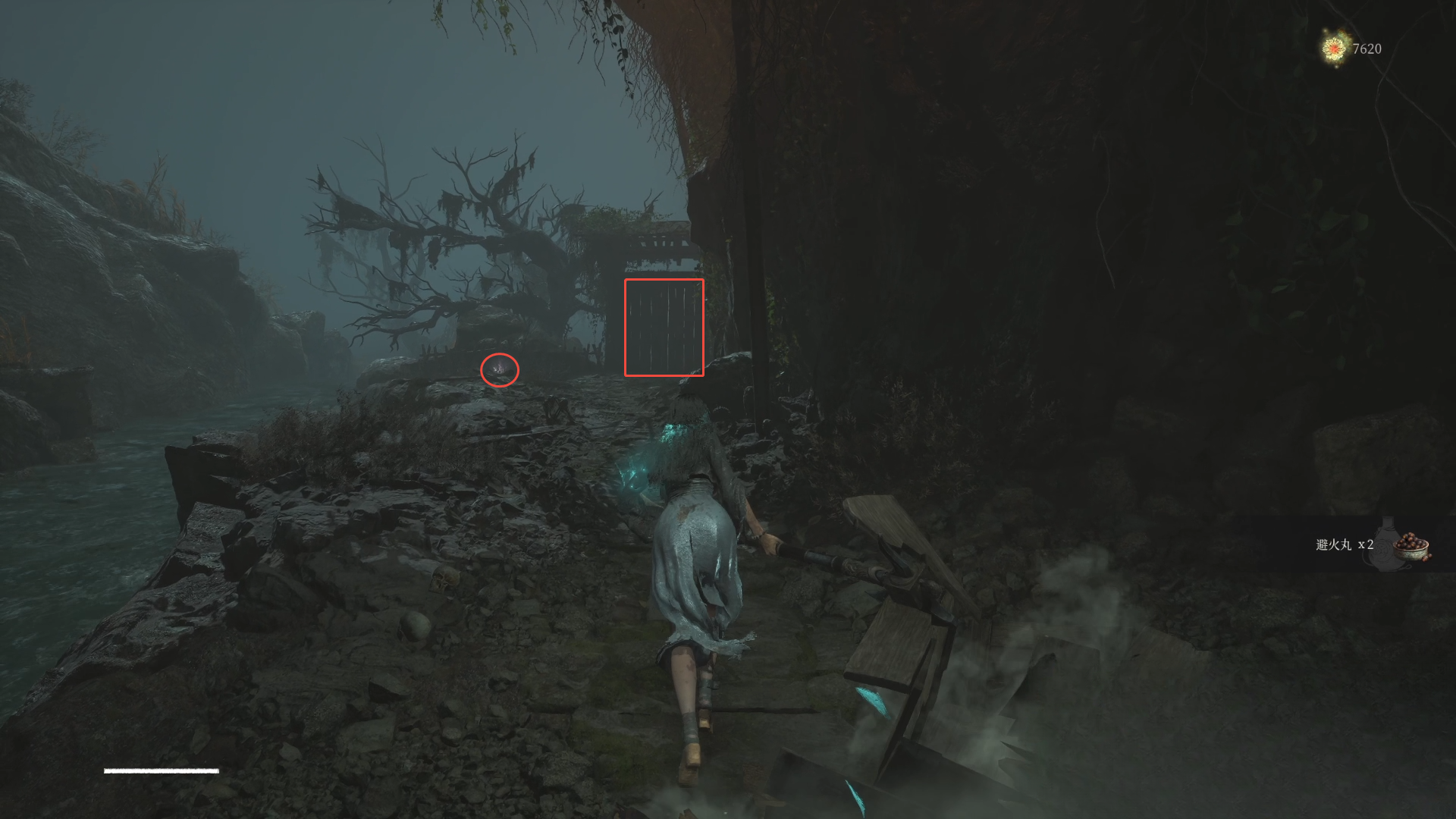 guide image