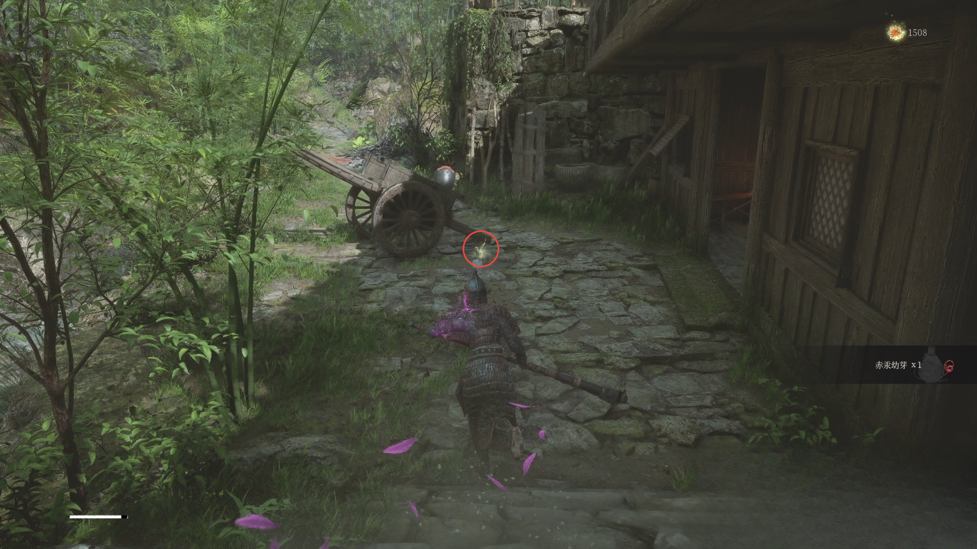 guide image