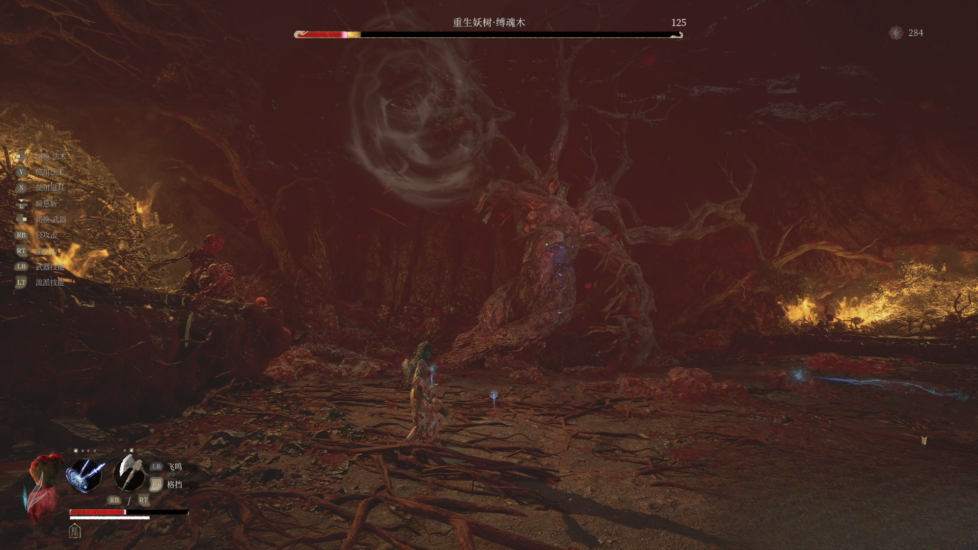 guide image