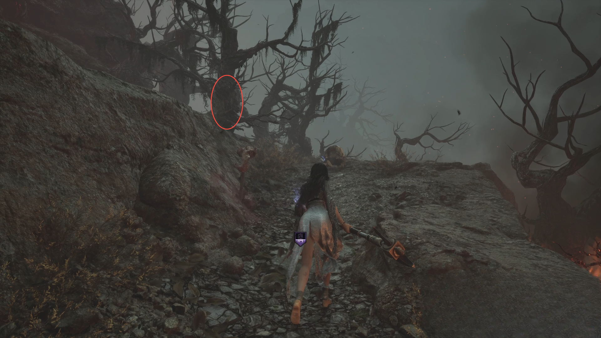 guide image